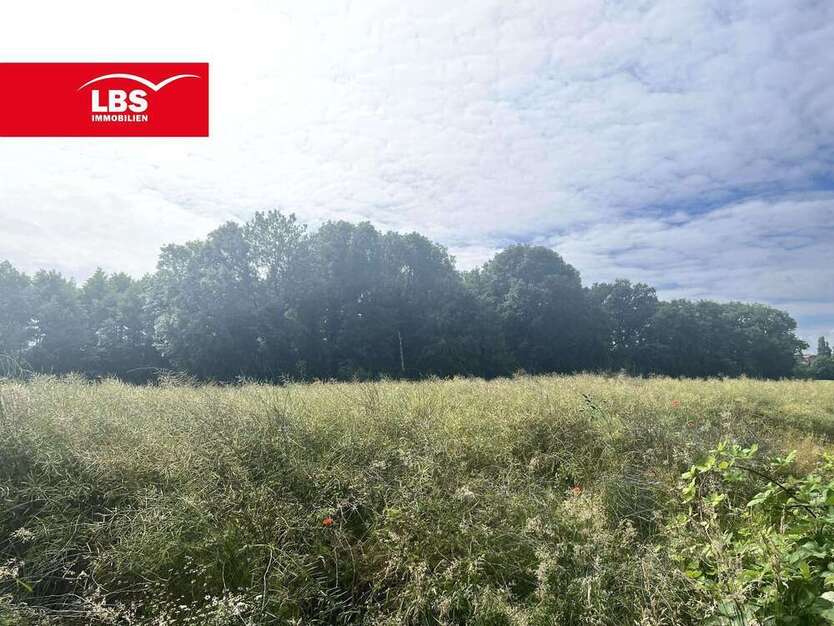 Grundstück zu verkaufen in Bad Oeynhausen 199.000 € 1300 m²