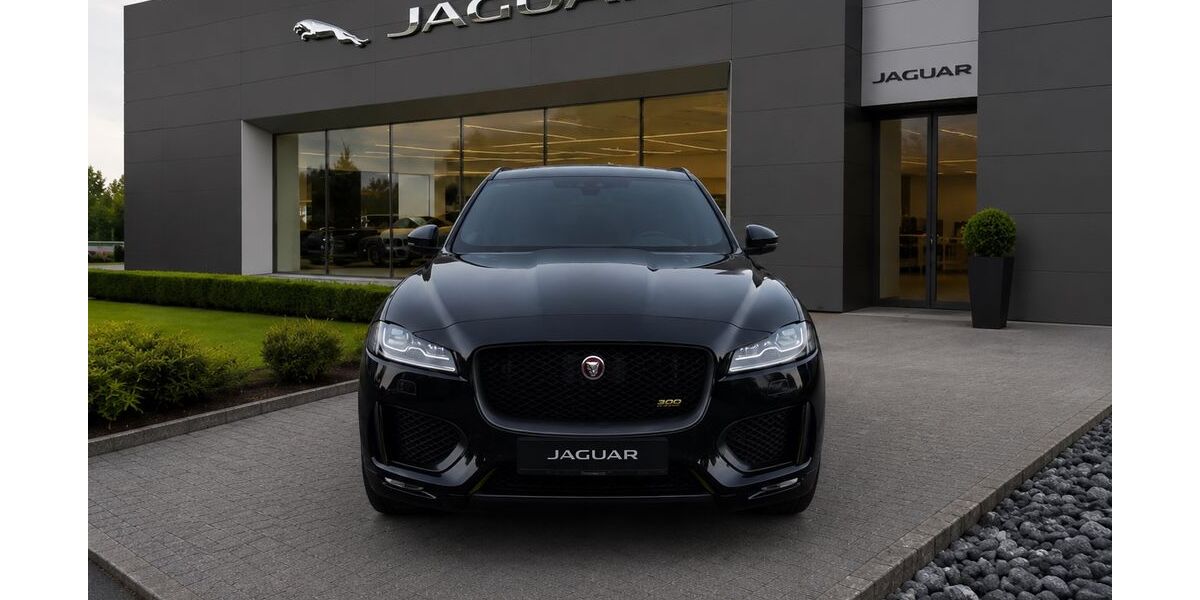Jaguar F-Pace 95.852 km 27.399 &euro; Lage 32791