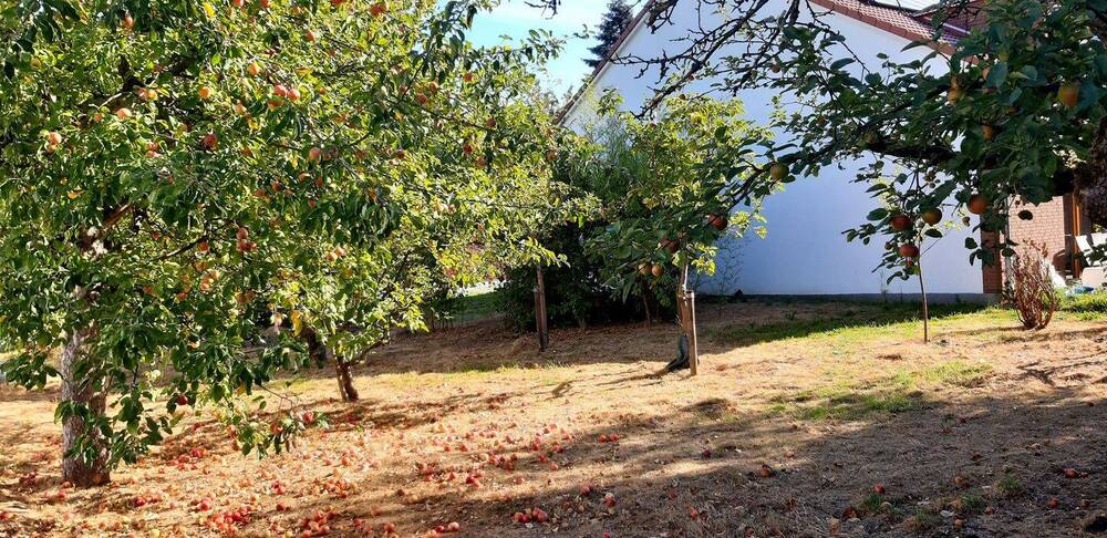 Bauen in der Stadt - Hinterbebauung - Anbau an ein Doppelhaus - Bauträgerfrei! zimmer