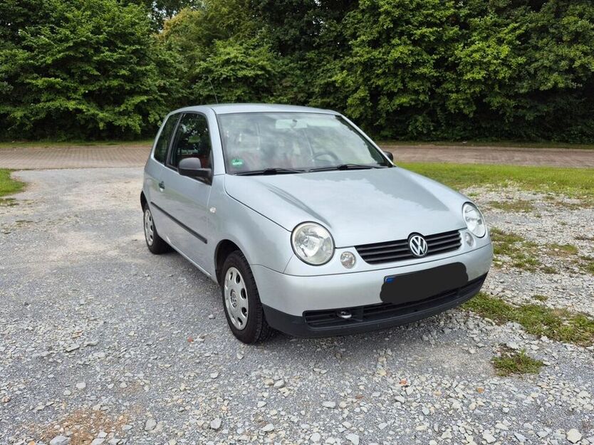 Lupo