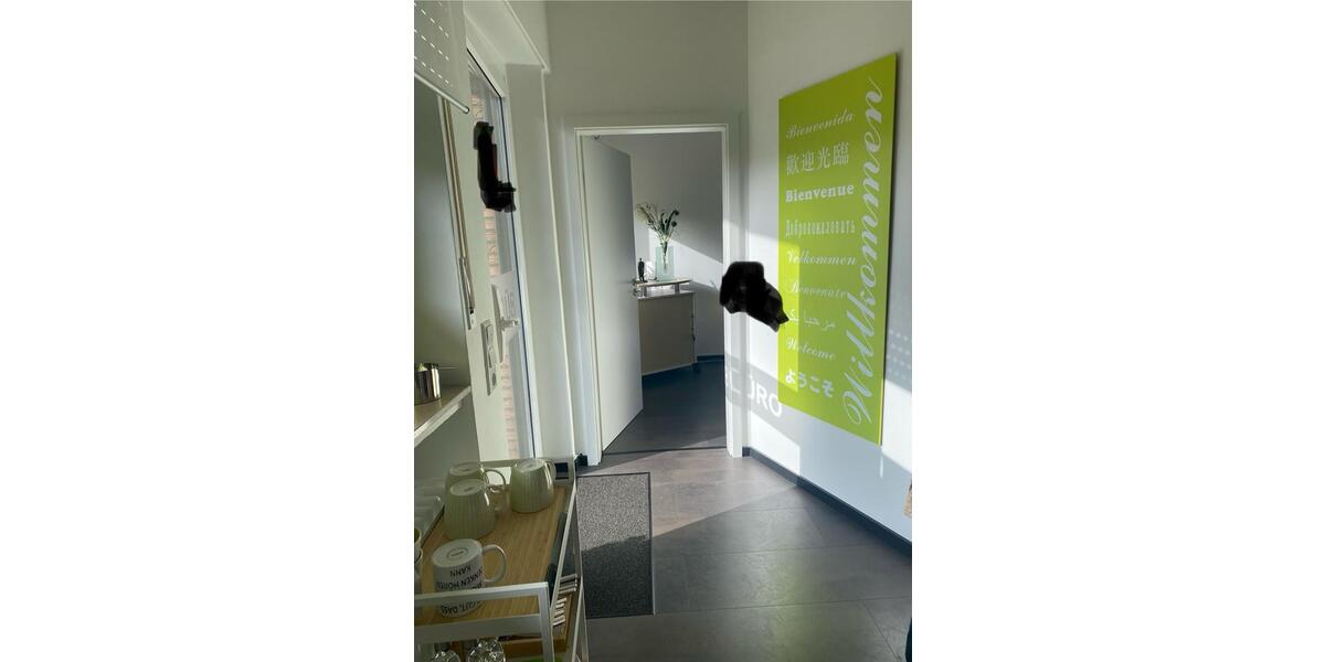 Erdgeschoßwohnung Verl - 2 Zimmer, 63 m&sup2;, 565&euro; | Angebot:25414903