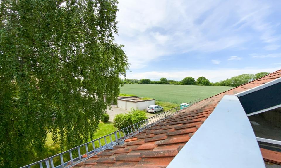 Loft - Studio - Atelier Detmold Hiddesen - 1 Zimmer, 47 m&sup2;, 450&euro; | Angebot:24691712