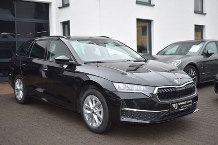 Skoda Octavia 19.999 km 29.340 &euro; Werther/Westfalen 33824
