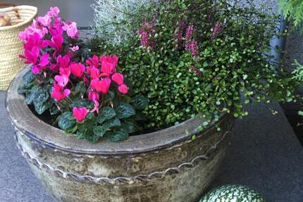 3-Zimmer-Dachgeschosswohnung Stadtheide zimmer