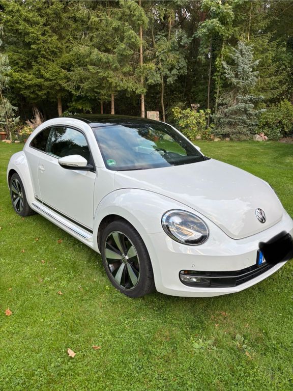 Beetle