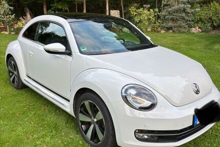 VW Beetle