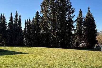 Grundstück zu verkaufen in Lemgo 115.200 € 725 m² zimmer