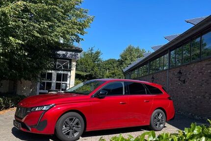 Peugeot 308 2.731 km 24.900 € Gütersloh 33335