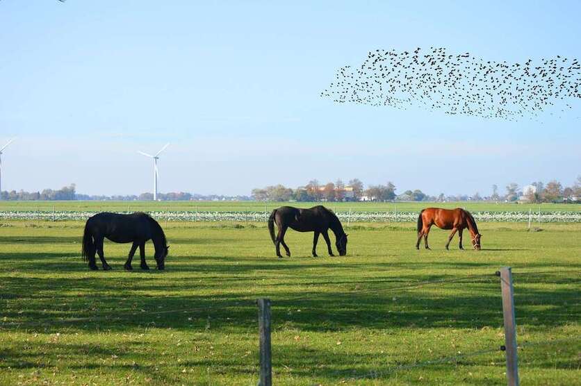 Gastronomie in Bad Salzuflen 3.000.000 € 9000 m²