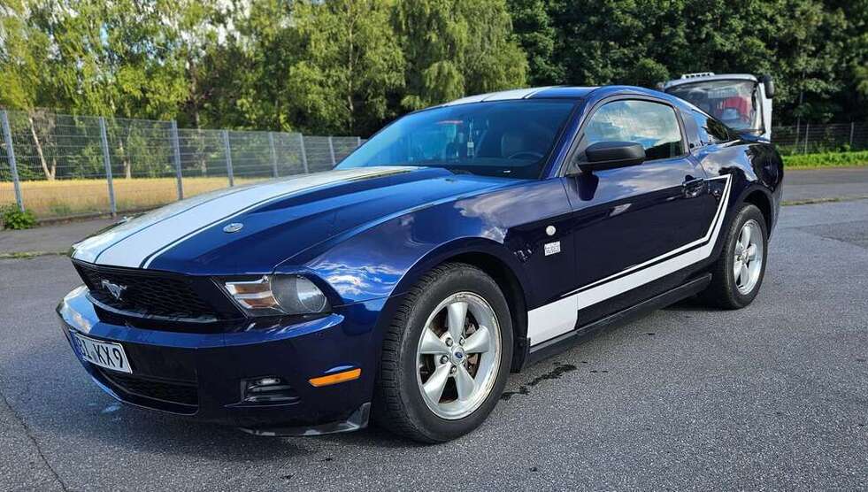 Mustang