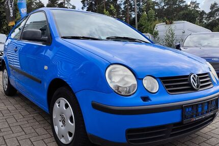 VW Polo 82.477 km 2.950 € Schlangen 33189