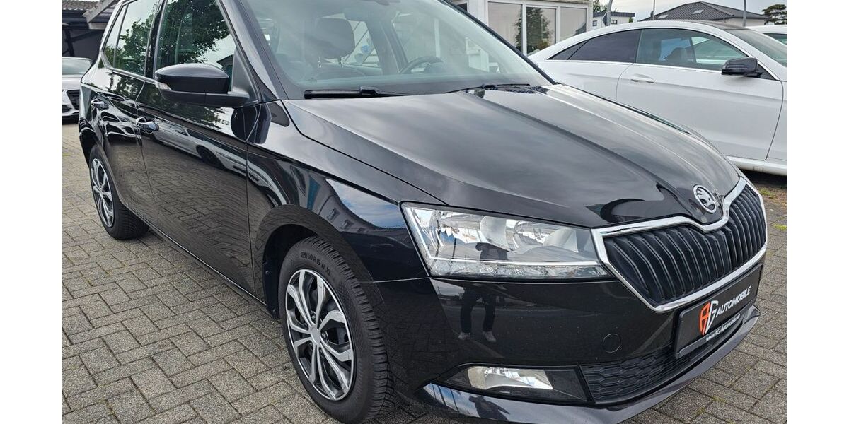 Skoda Fabia 145.000 km 8.999 &euro; Bielefeld 33659