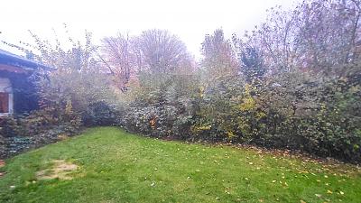 SELTENE GRÜNE OASE IN BESTLAGE - Grundstück Gütersloh | Angebot:25419871