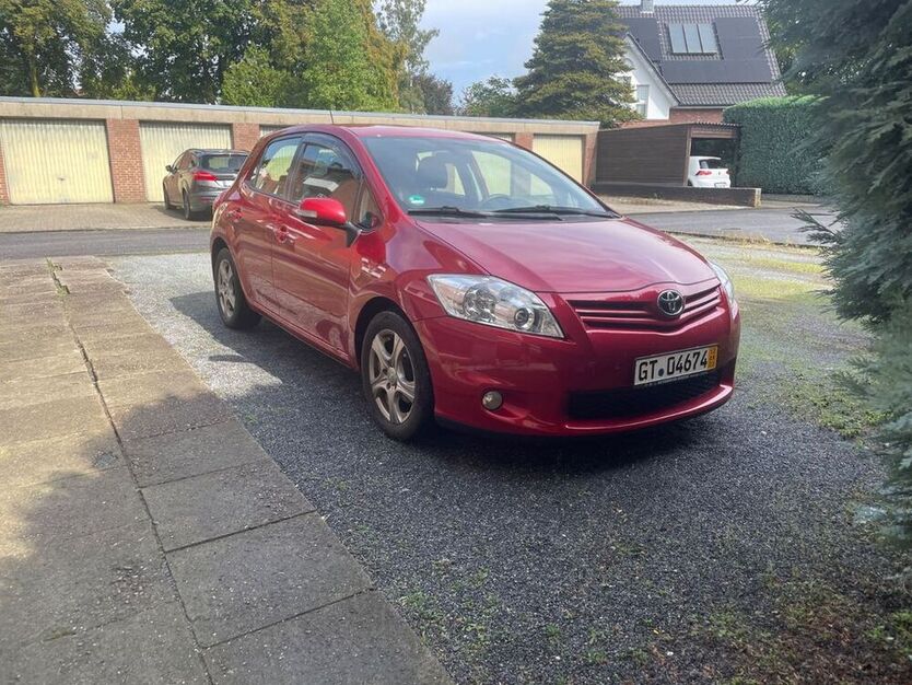 Auris