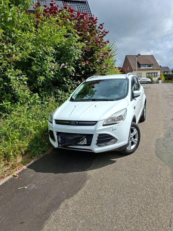 Kuga