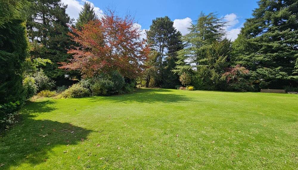 Großes Grundstück in ruhiger Wohngegend von Löhne zimmer