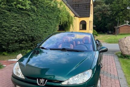 Peugeot 206 162.000 km 1.100 &euro; Spenge 32139