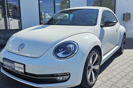 VW Beetle