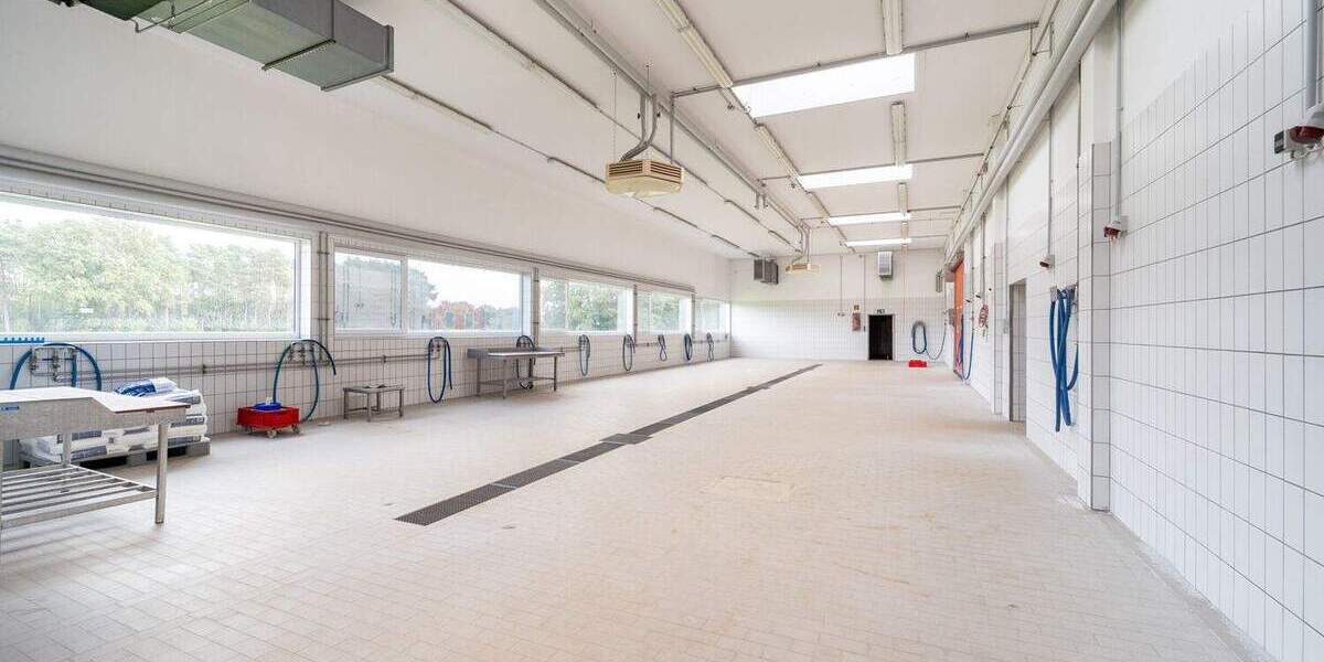 Vielseitige Gewerbefläche für Ihr Business | 1.489m² Nutzfläche | 155m² Büro | 4.904m² Grundstück zimmer