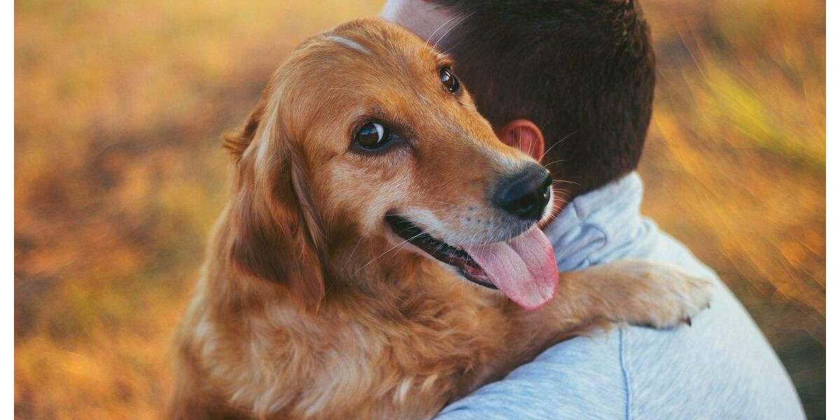 Einfamilienhaus Hövelhof - 5 Zimmer, 140 m&sup2;, 395.000&euro; | Angebot:25338272