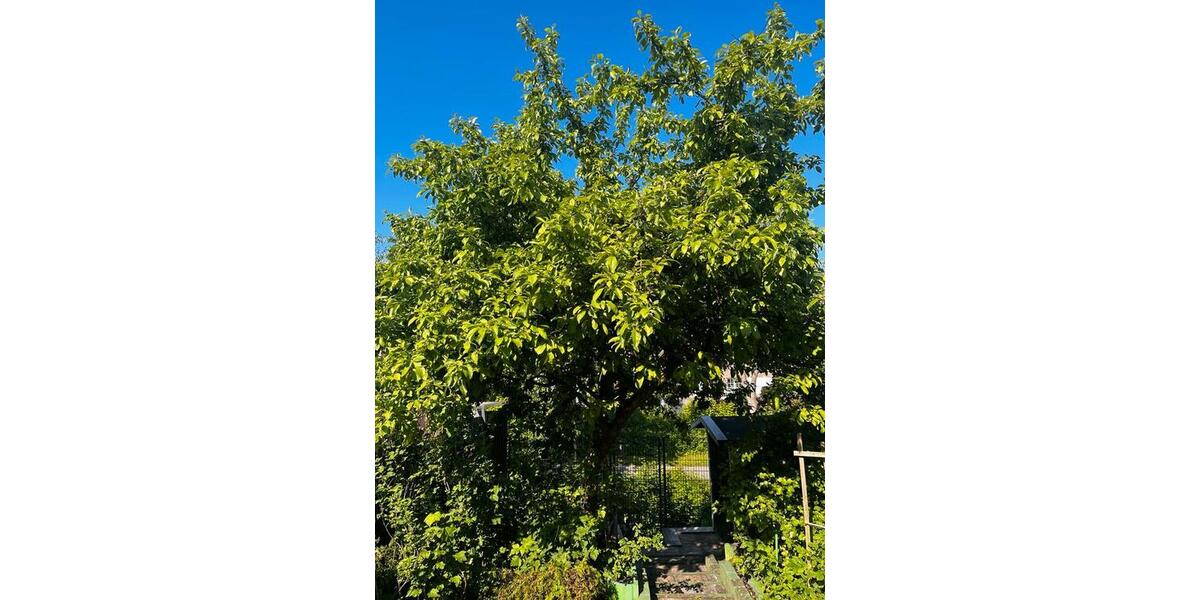 Reihenhaus Spenge - 4 Zimmer, 100 m&sup2;, 249.900&euro; | Angebot:26503525