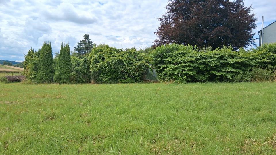 Mehrfamilienhaus, Wohnhaus Detmold Hakedahl - 10 Zimmer, 240 m&sup2;, 329.000&euro; | Angebot:26481679