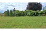 Mehrfamilienhaus, Wohnhaus Detmold Hakedahl - 10 Zimmer, 240 m&sup2;, 329.000&euro; | Angebot:26481679
