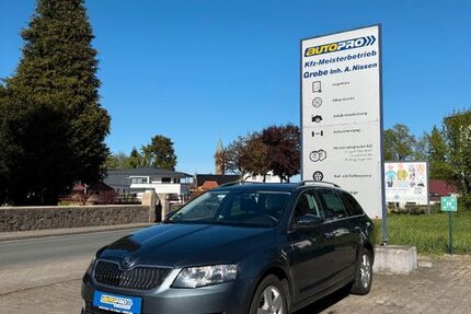 Skoda Octavia 167.662 km 9.599 &euro; Melle Buer 49328