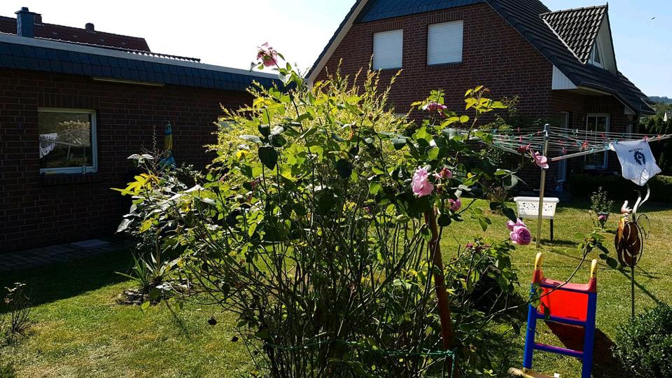Einfamilienhaus Herford Diebrock - 5 Zimmer, 123 m&sup2;, 398.000&euro; | Angebot:26635904