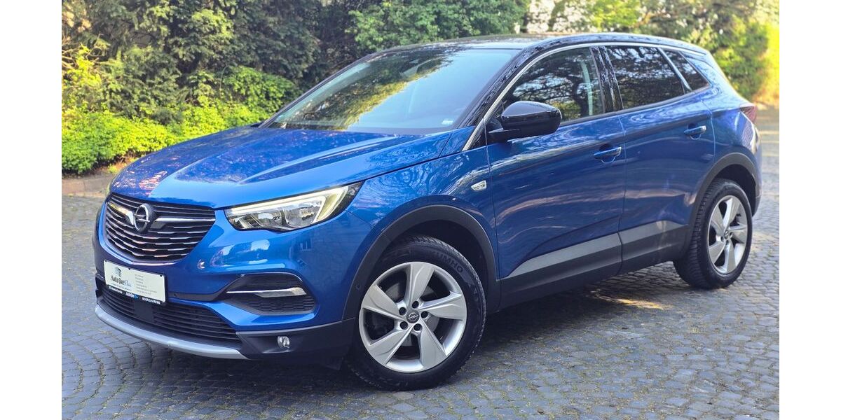 Opel Grandland (X) 111.000 km 15.490 &euro; Borgholzhausen 33829