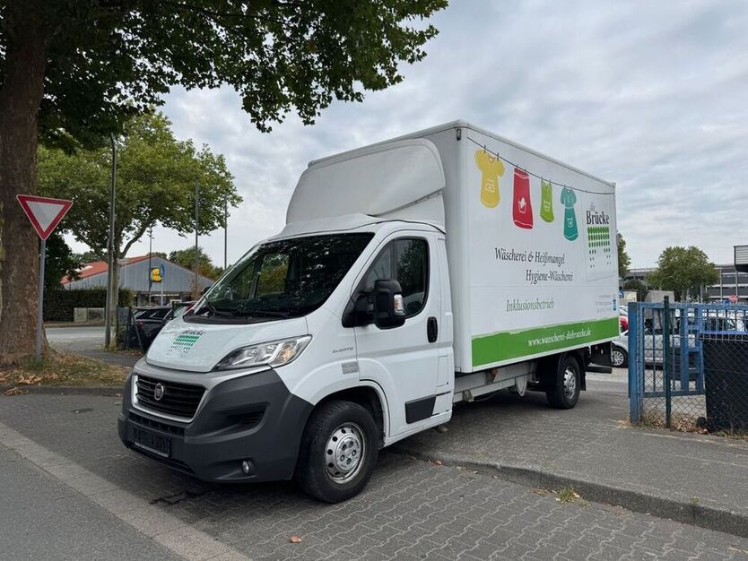 Ducato