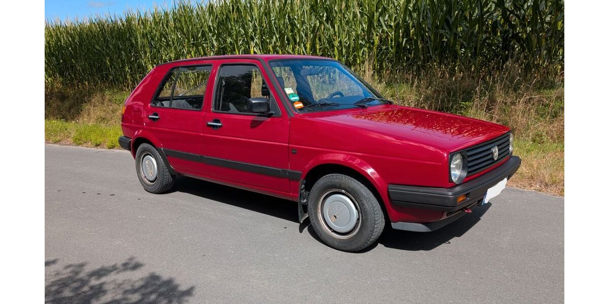 VW Golf 169.105 km 3.999 &euro; Borgholzhausen 33829