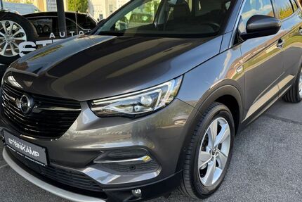 Opel Grandland (X) 142.000 km 12.700 € Bad Salzuflen 32105