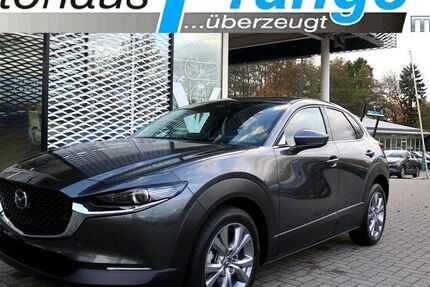 Mazda CX-30 20.968 km 27.485 &euro; Hilter 49176