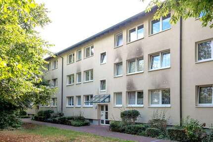 Wohnung zum Mieten in Bielefeld 550 € 69.94 m² 3 zimmer