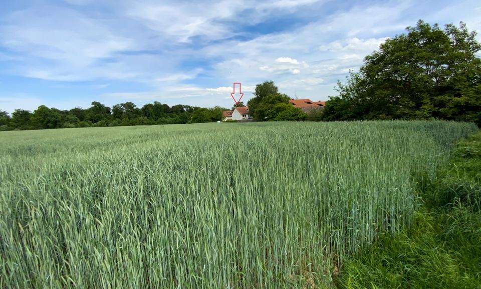 = Mini-Loft: 1.Zimmerwohnung inkl. Loggia = 1 zimmer