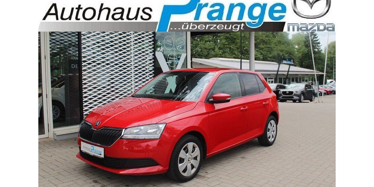 Skoda Fabia 91.019 km 9.885 &euro; Hilter 49176