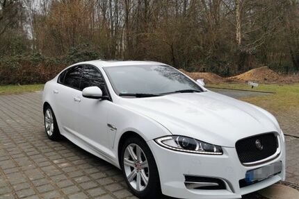 Jaguar XF 138.000 km 12.400 &euro; Bielefeld 33605