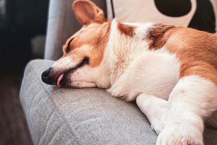 Haus Bielefeld Brackwede - 5 Zimmer, 136 m&sup2;, 2.200&euro; | Angebot:24629817