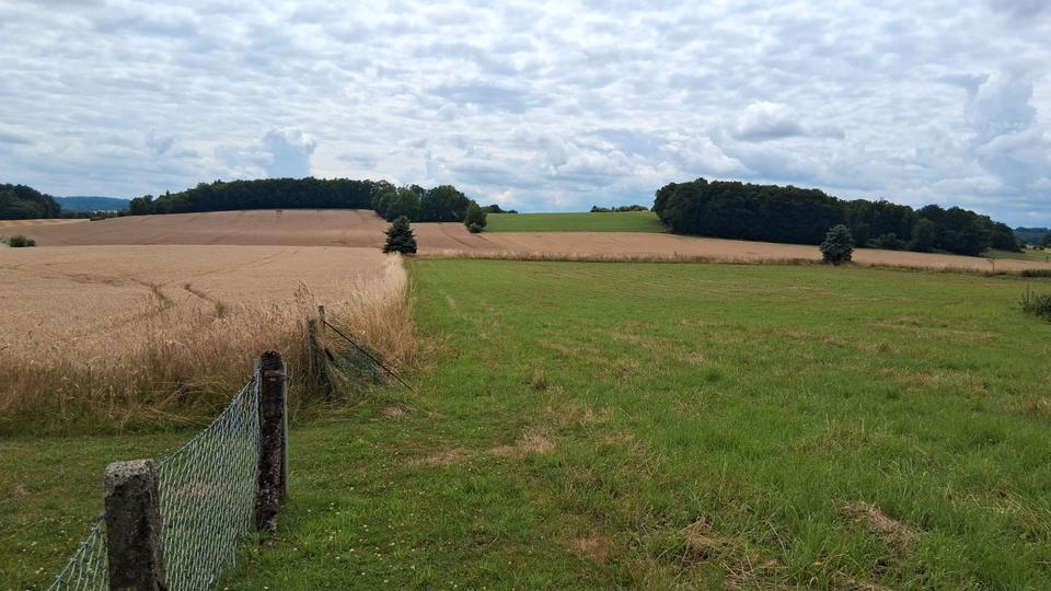 Mehrfamilienhaus, Wohnhaus Detmold Hakedahl - 10 Zimmer, 240 m&sup2;, 329.000&euro; | Angebot:26481679