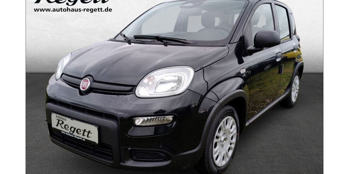 Fiat Panda 7.010 km 15.990 &euro; Delbrück-Westenholz 33129