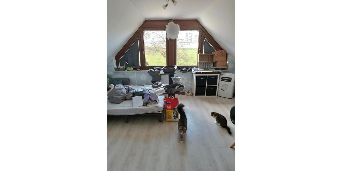 Dachgeschoßwohnung Bad Oeynhausen - 2 Zimmer, 70 m&sup2;, 600&euro; | Angebot:26414610