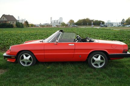 Alfa Romeo Spider 118.000 km 14.500 &euro; Bad salzuflen 32108
