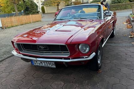 Ford Mustang 66.000 km 62.000 &euro; Werther 33824