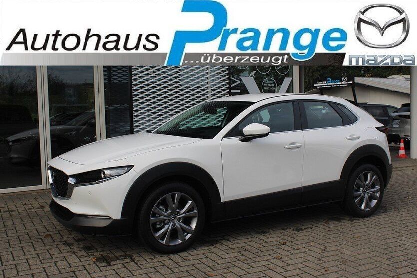 CX-30