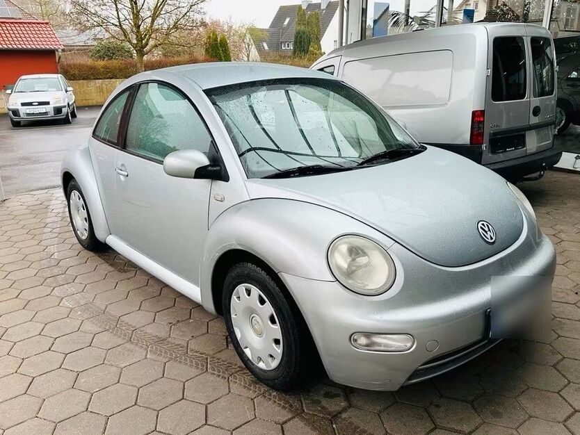 Beetle