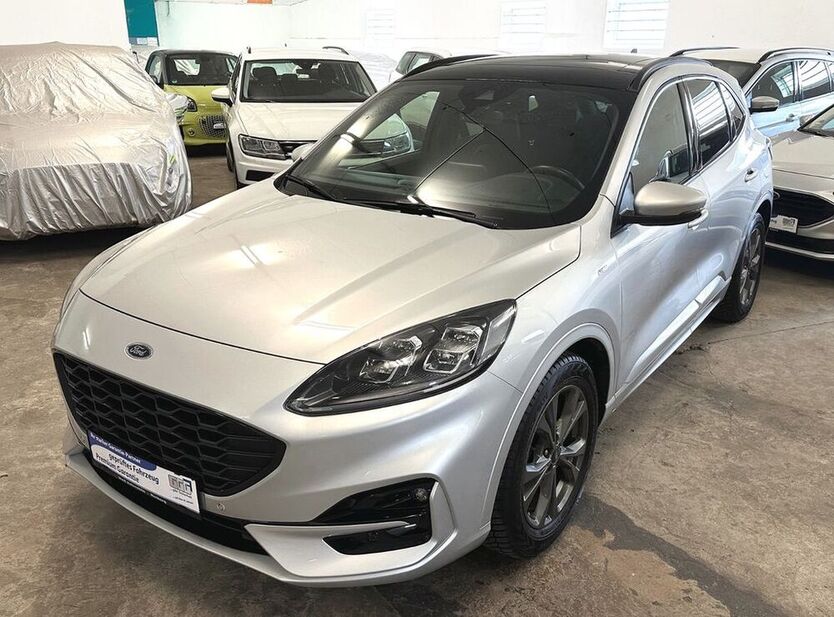 Kuga