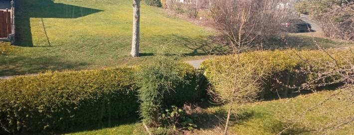 Dachgeschoßwohnung Spenge - 1 Zimmer, 45 m&sup2;, 400&euro; | Angebot:25784134