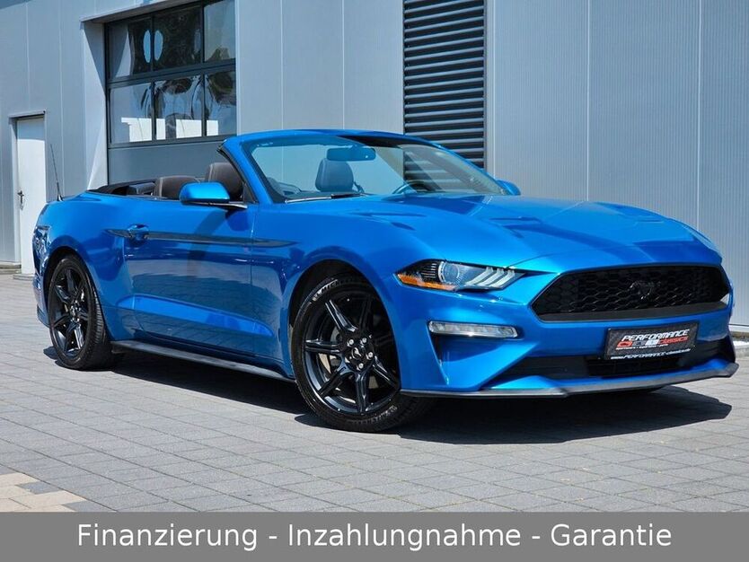 Mustang