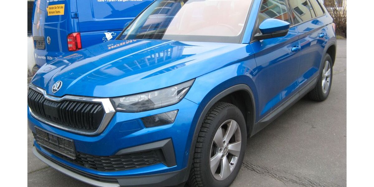 Skoda Kodiaq 208.000 km 20.111 &euro; Bielefeld 33613